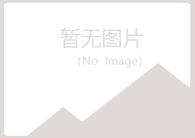 城中区山柳设计有限公司